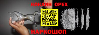 крисы Дубна