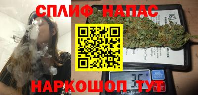 крисы Дубна