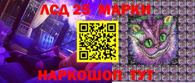 стафф Донской