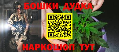 крисы Дубна