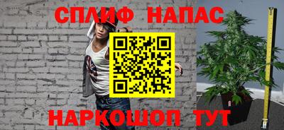 стафф Донской