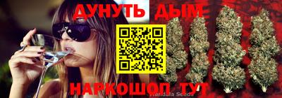крисы Дубна