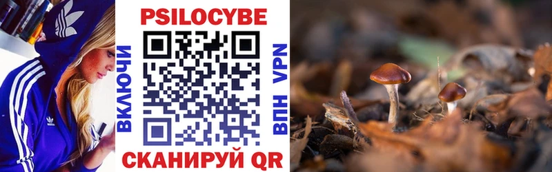Псилоцибиновые грибы GOLDEN TEACHER  где продают   Муром 