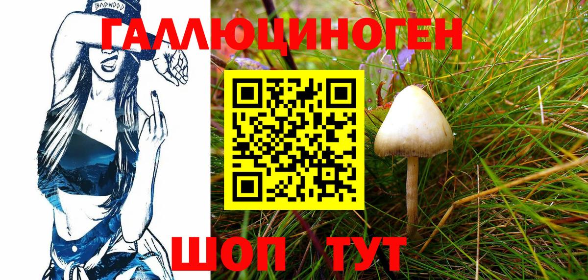 Муром  Псилоцибиновые грибы Cubensis  Псилоцибиновые грибы мицелий  Вход с VPN 